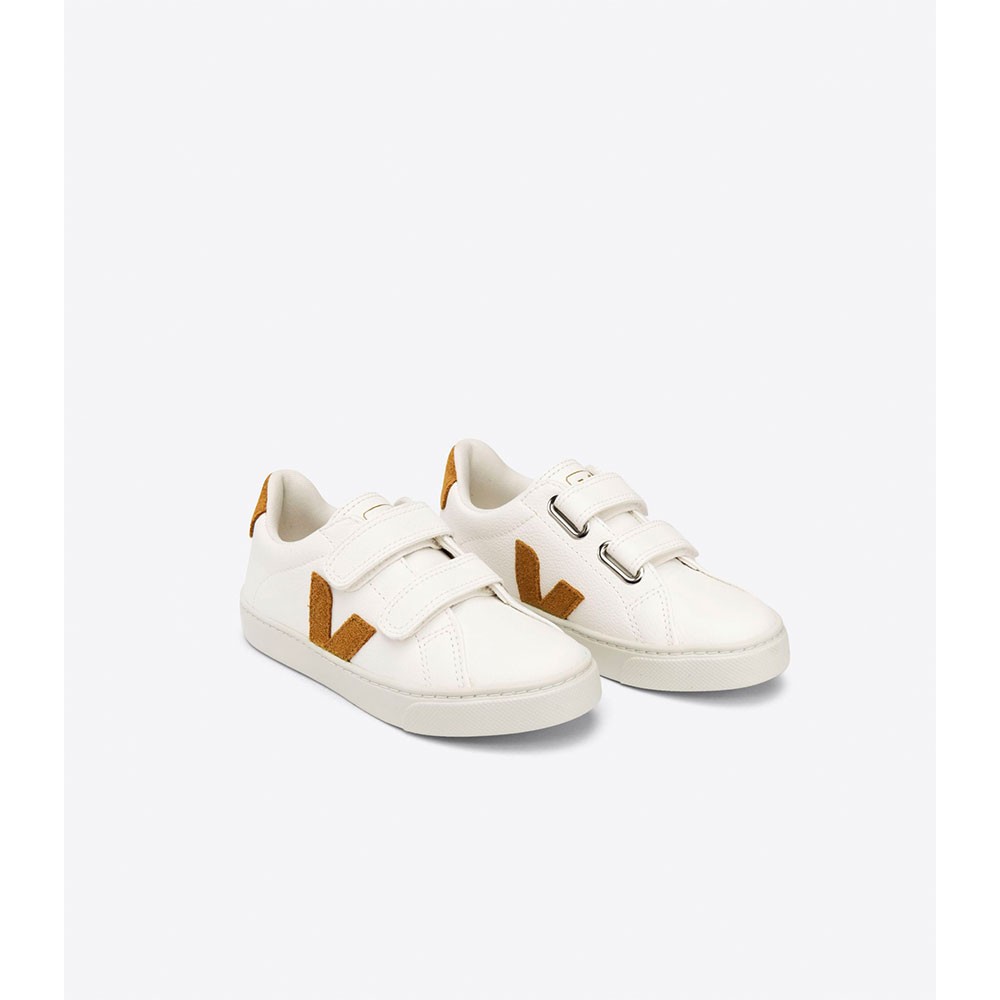 WHITECAMEL