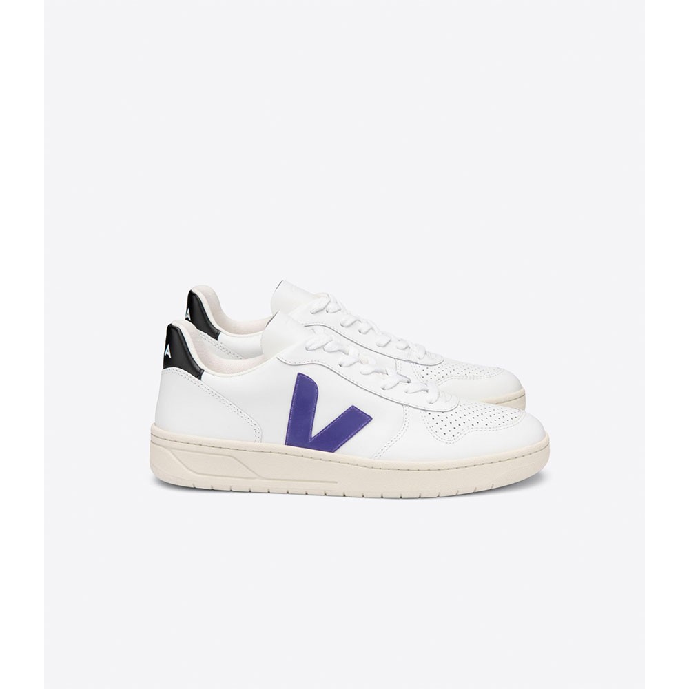 PURPLEBLACK