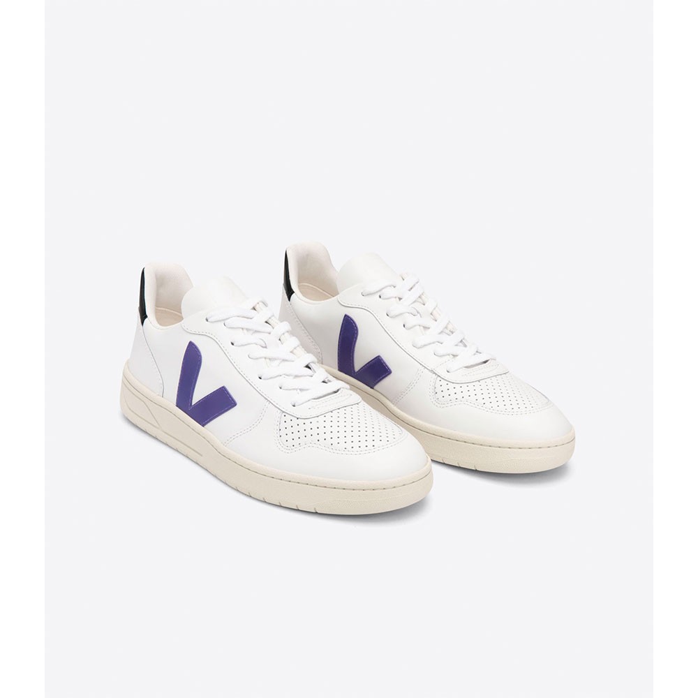 PURPLEBLACK
