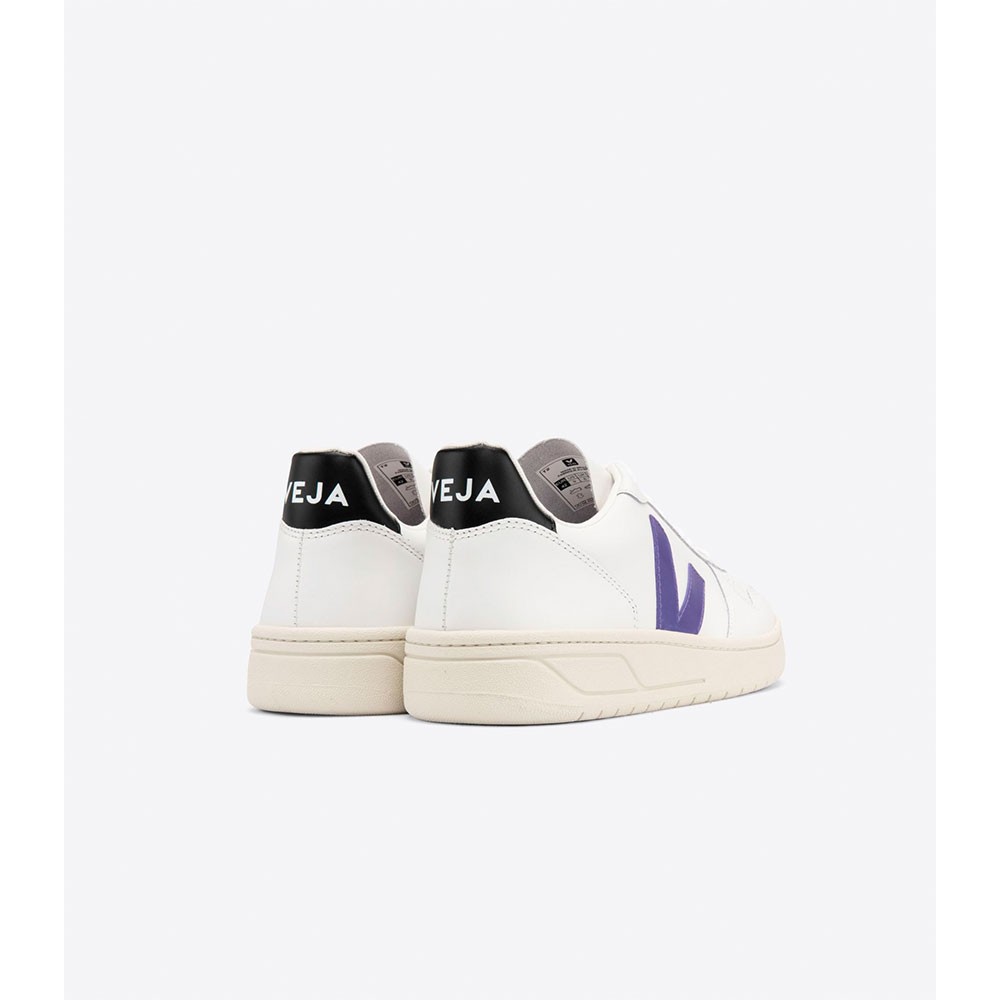 PURPLEBLACK